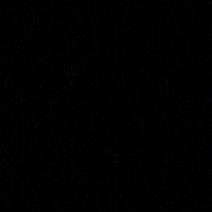 Meet your Posher, Sheena